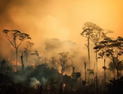 Gelombang Panas Picu Kebakaran Hutan Katastropik di Victoria, Australia