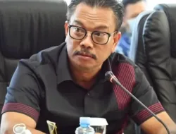 Anggota Komisi IX DPR Usul Perlakuan Afirmatif bagi Daerah UHC