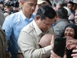 Presiden Prabowo Salurkan Sapi Sedekah untuk Tradisi Meugang di Aceh Utara
