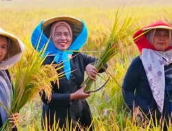 Pemerintah Proyeksikan Stok Beras Nasional 2026 Surplus