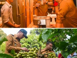Perkuat Hilirisasi, Wali Kota dan Wawako Sawahlunto Tinjau Produksi Kopi Arang di Muaro Kalaban