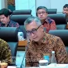 Pemerintah Usulkan Pembentukan DKIN, Presiden Pimpin Langsung Pengembangan Kawasan Industri