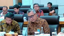 Pemerintah Usulkan Pembentukan DKIN, Presiden Pimpin Langsung Pengembangan Kawasan Industri