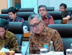 Pemerintah Usulkan Pembentukan DKIN, Presiden Pimpin Langsung Pengembangan Kawasan Industri
