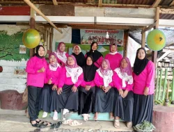 KWT Sakato Bundo Terima Bantuan Bibit Nenas Madu dari Dinas Pertanian Dharmasraya