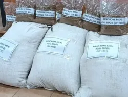 Kementan Pastikan Pasokan MBM Tetap Aman Meski Impor dari Salah Satu Unit Usaha Brasil Dihentikan
