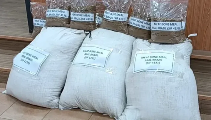 Sampel Meat Bone Meal (MBM) asal Brasil yang mengandung porcine ditunjukkan dalam konferensi pers pemusnahan 312 ton MBM di fasilitas PT Prasadha Pamunah Limbah Industri (PPLI), Klapanunggal, Kabupaten Bogor, Jawa Barat, Rabu 22 Juli 2026