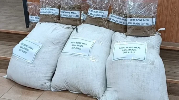 Sampel Meat Bone Meal (MBM) asal Brasil yang mengandung porcine ditunjukkan dalam konferensi pers pemusnahan 312 ton MBM di fasilitas PT Prasadha Pamunah Limbah Industri (PPLI), Klapanunggal, Kabupaten Bogor, Jawa Barat, Rabu 22 Juli 2026