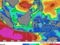 BMKG Peringatkan Gelombang Tinggi di Perairan Sulawesi Tenggara hingga 30 Juli