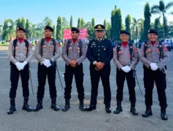 Tipiter Dharmasraya, Garda Pengawasan Hukum