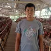 Di Tengah Kenaikan Harga Konsentrat, Jagung SPHP Jadi Penyangga Biaya Pakan Peternak