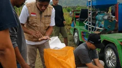 PINSAR Sultra Dorong Sinkronisasi Penyaluran SPHP dengan Stok Bulog untuk Jaga Mutu Jagung