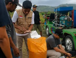 PINSAR Sultra Dorong Sinkronisasi Penyaluran SPHP dengan Stok Bulog untuk Jaga Mutu Jagung