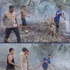 Api Lahap Kebun Sawit di Koto Gadang, Polsek Sungai Rumbai Bergerak Cepat