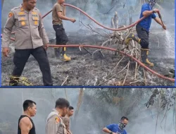 Api Lahap Kebun Sawit di Koto Gadang, Polsek Sungai Rumbai Bergerak Cepat