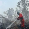 Hotspot Nasional Turun 56,2 Persen, Kemenhut Tetap Waspadai Karhutla