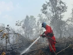 Hotspot Nasional Turun 56,2 Persen, Kemenhut Tetap Waspadai Karhutla