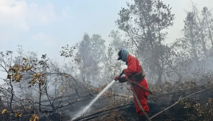 Proses Pemadaman titik api di lahan terkena Karhutla kawasan Sumatra Selatan