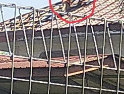 Proyek Pembangunan Kantor Imigrasi Asahan Diduga Melanggar K3