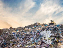 Retribusi Uang Sampah Oleh DLH Asahan Disoroti NGO TOPAN AD