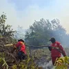 Karhutla di Tujuh Provinsi Picu 113.336 Kasus ISPA, Empat Orang Meninggal