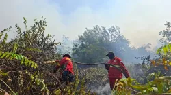 Petugas memadamkan kebakaran hutan dan lahan (Karhutlla) disalah satu titik di Sumatra, Kamis, 29 Agustus 2026.