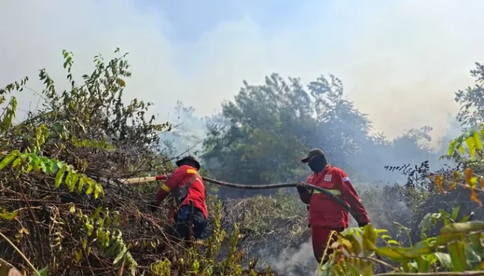 Petugas memadamkan kebakaran hutan dan lahan (Karhutlla) disalah satu titik di Sumatra, Kamis, 29 Agustus 2026.