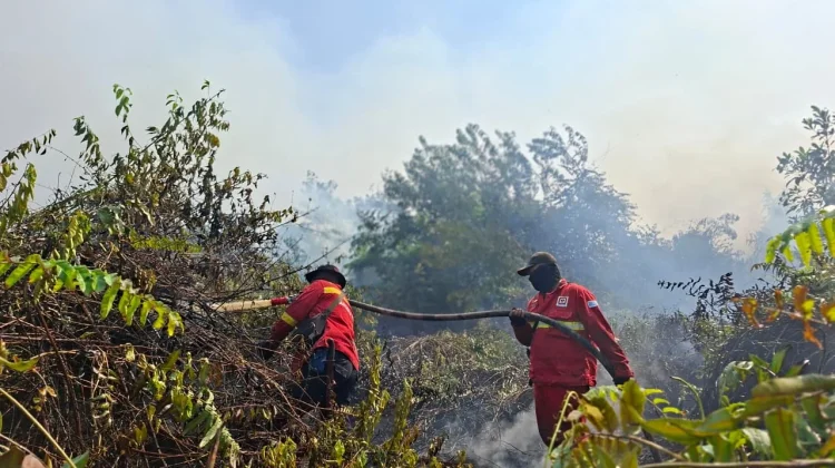 Petugas memadamkan kebakaran hutan dan lahan (Karhutlla) disalah satu titik di Sumatra, Kamis, 29 Agustus 2026.