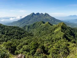 ESDM: Pengembangan PLTP Gunung Ungaran Bertahap, Lindungi Lingkungan dan Cagar Budaya