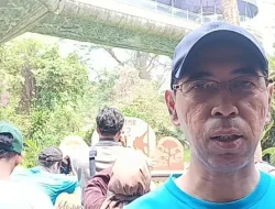 Ragunan Dipadati Wisatawan, Pengunjung Diperkirakan Tembus 30 Ribu Orang