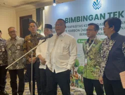 Menteri LH: Karbon Mangrove Berpotensi Bernilai Rp2,4 Miliar per Hektare